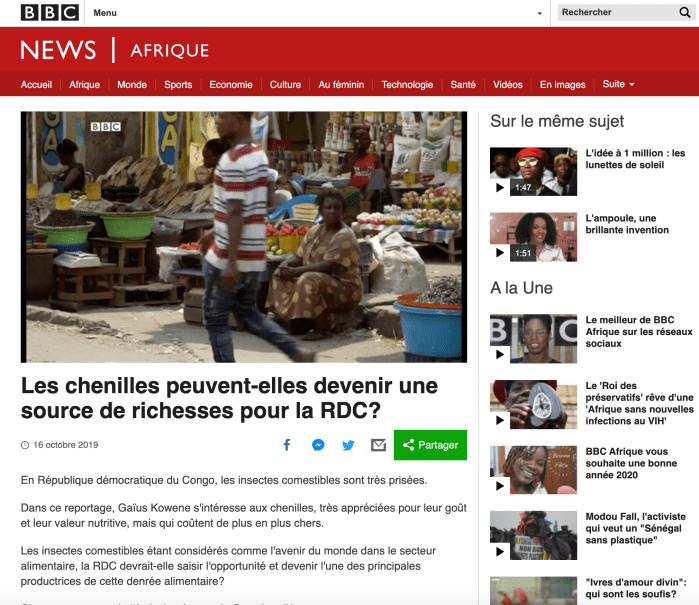 Chenilles source de richesse RDC